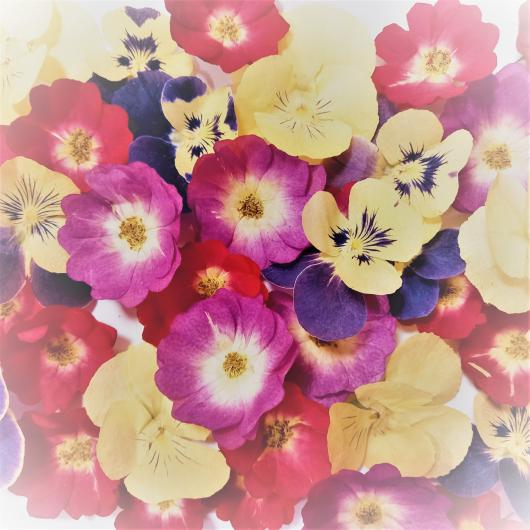 Цветы обезвоженные съедобные, микс виолы и розы, 10 шт